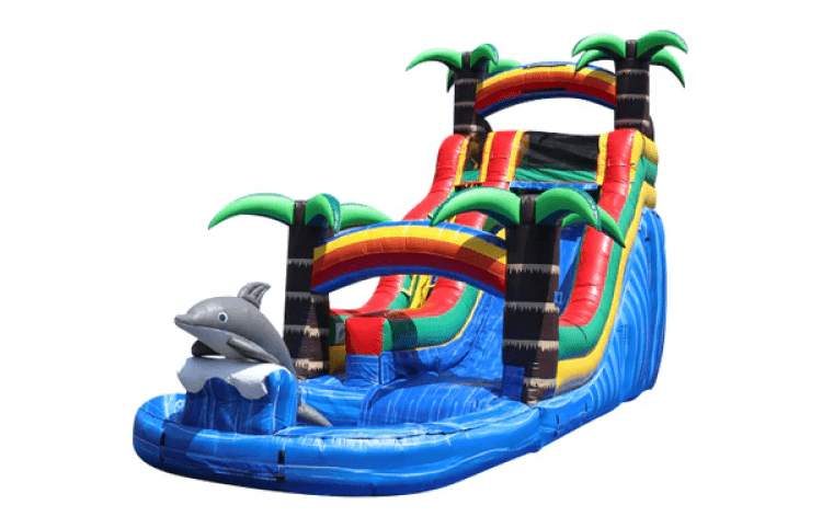 18 FT Dolphin Water Slide