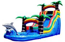 18 FT Dolphin Water Slide