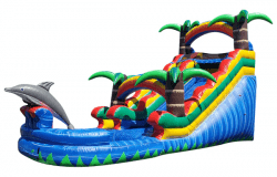 15Ft Dolphin Water Slide