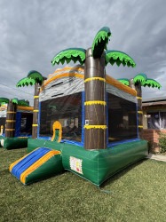 IMG 6478 1736379928 Tropical Bounce House (B477)