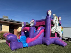 IMG 6677 1737611019.jpeg Unicorn Dry Combo (C258)