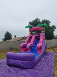 IMG 1080 1746416497 12FT Toddler Pink Water Slide (WS121)