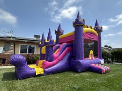 IMG 1141 1748216846 Fun Size Bananza Dry Princess Castle (C204)