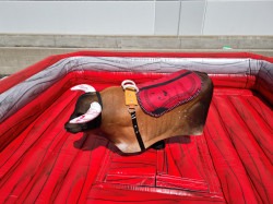 DJI 0621 1751429835 Mechanical Bull