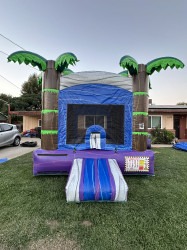 IMG 1391 1756876821 Fun Size Purple Tropics (B1018)