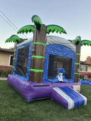 IMG 1392 1756876820 Fun Size Purple Tropics (B1018)