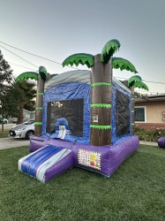 IMG 1393 1756876819 Fun Size Purple Tropics (B1018)