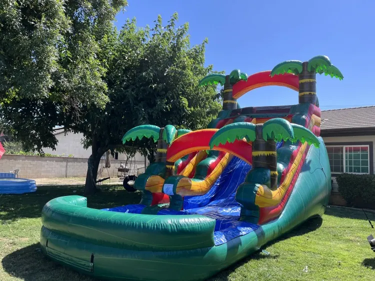 water slide rentals, tropical palm